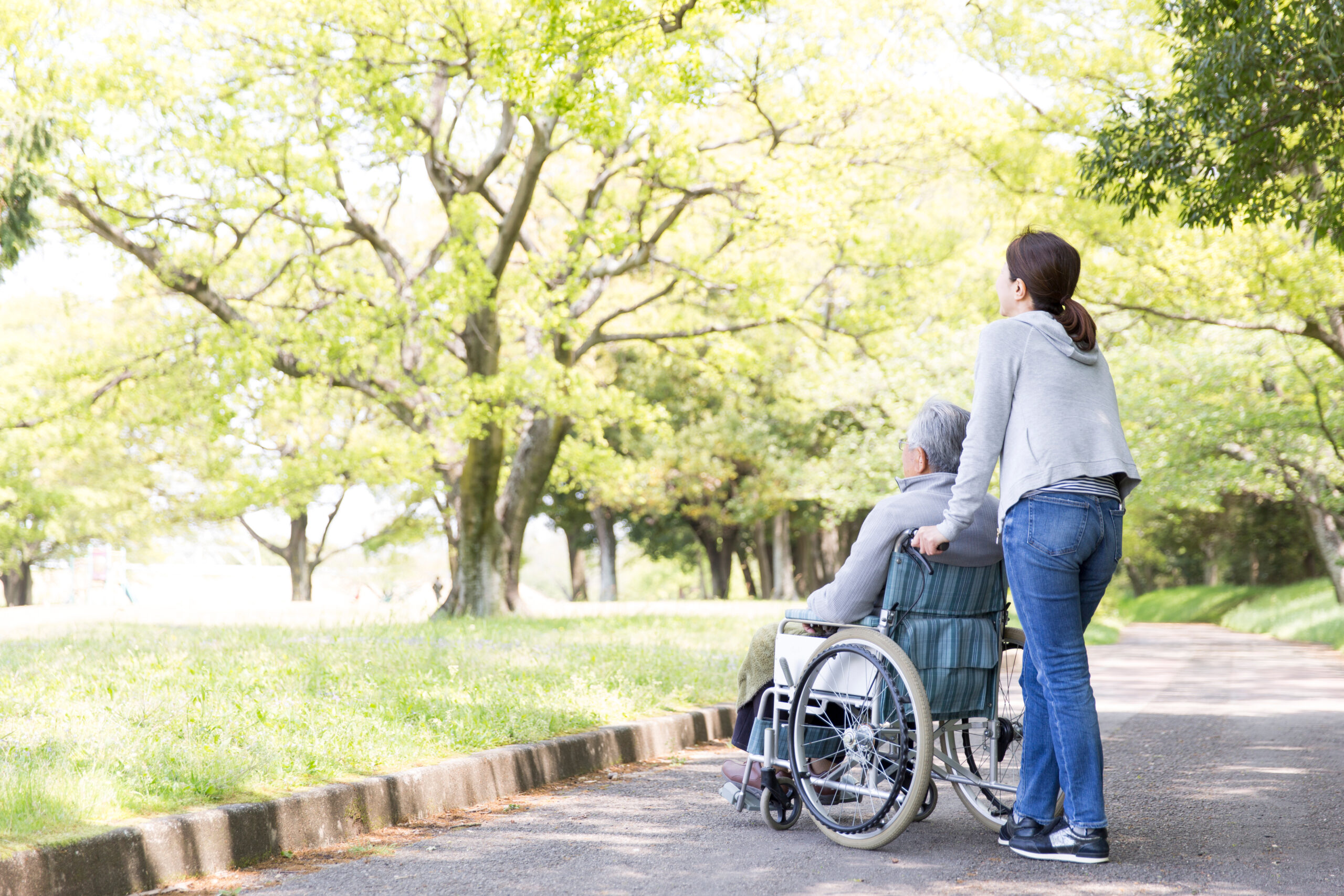 Rear,View,Of,Elderly,Man,In,Wheelchair,And,Care,Helper In-Home Care in Dallas